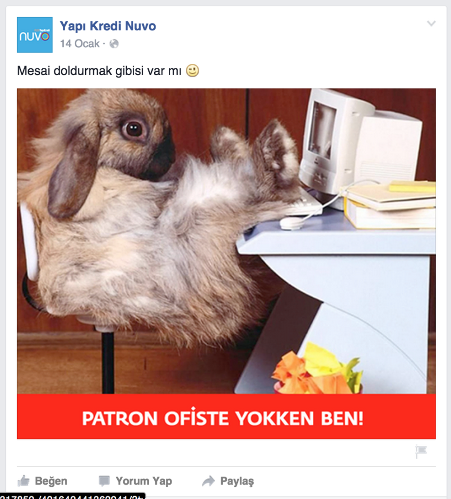 Yaratıcı Sosyal Medya İçerik Örnekleri - 1