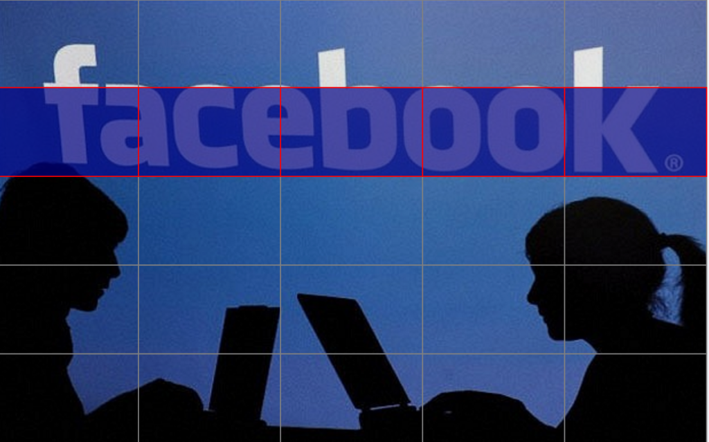 Facebook Izgara Aracı